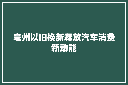 亳州以旧换新释放汽车消费新动能