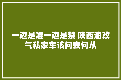 一边是准一边是禁 陕西油改气私家车该何去何从