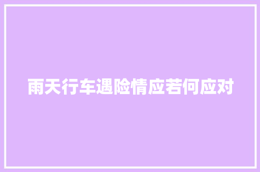 雨天行车遇险情应若何应对