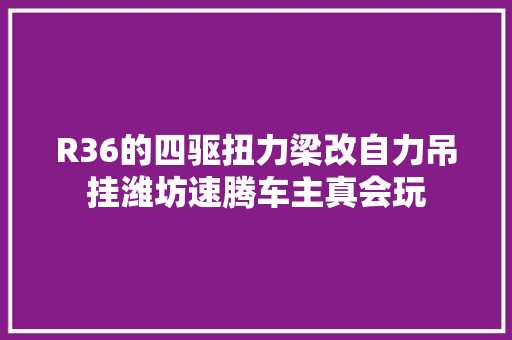 R36的四驱扭力梁改自力吊挂潍坊速腾车主真会玩