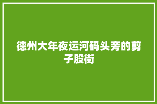 德州大年夜运河码头旁的剪子股街