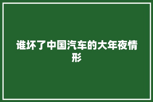 谁坏了中国汽车的大年夜情形
