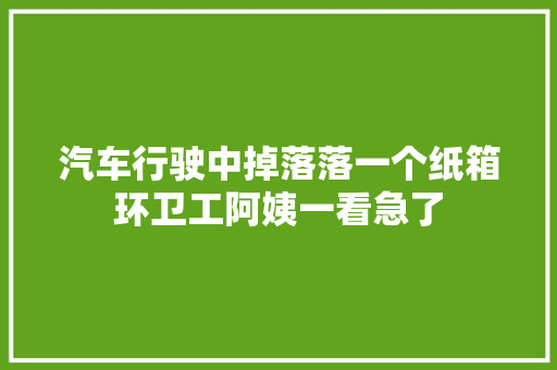 汽车行驶中掉落落一个纸箱环卫工阿姨一看急了