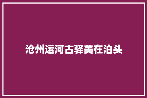 沧州运河古驿美在泊头