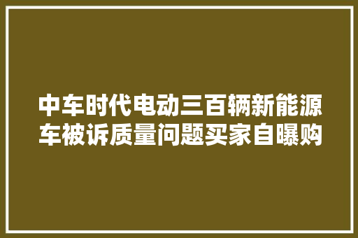 中车时代电动三百辆新能源车被诉质量问题买家自曝购车谋补