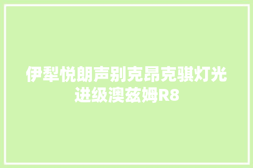 伊犁悦朗声别克昂克骐灯光进级澳兹姆R8