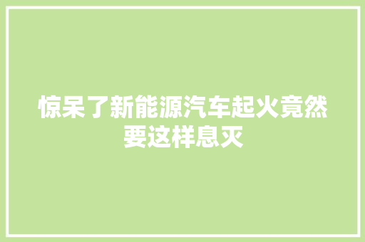 惊呆了新能源汽车起火竟然要这样息灭