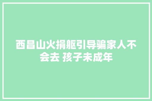 西昌山火捐躯引导骗家人不会去 孩子未成年