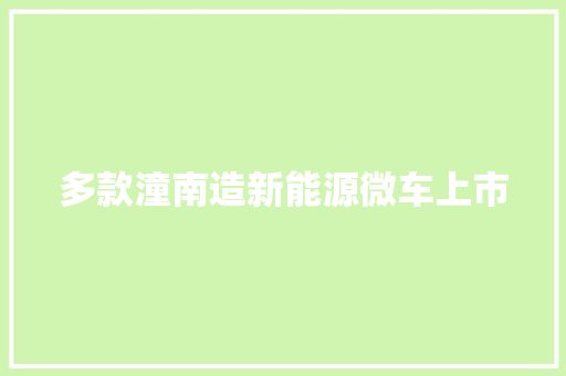 多款潼南造新能源微车上市