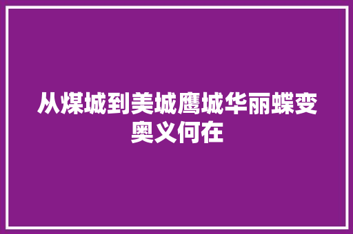 从煤城到美城鹰城华丽蝶变奥义何在