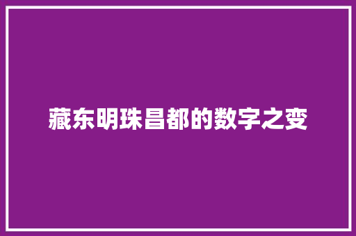 藏东明珠昌都的数字之变
