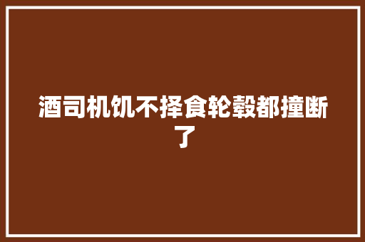 酒司机饥不择食轮毂都撞断了
