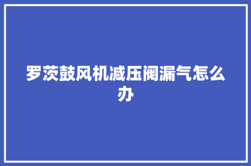 罗茨鼓风机减压阀漏气怎么办