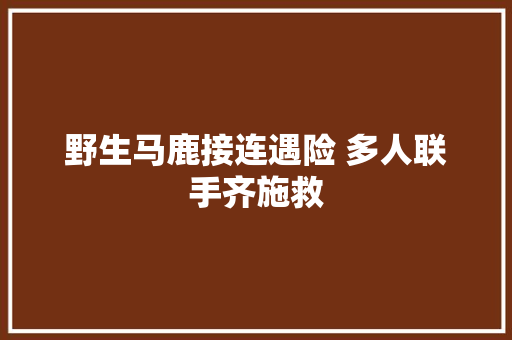 野生马鹿接连遇险 多人联手齐施救