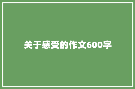关于感受的作文600字