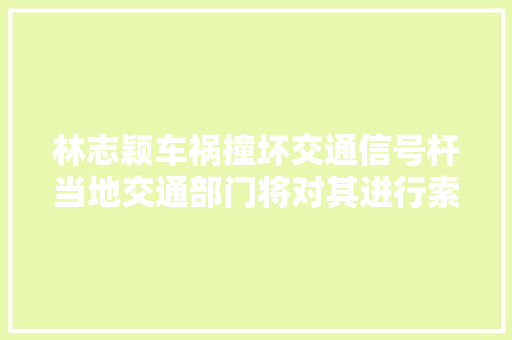林志颖车祸撞坏交通信号杆当地交通部门将对其进行索赔