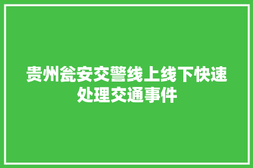 贵州瓮安交警线上线下快速处理交通事件