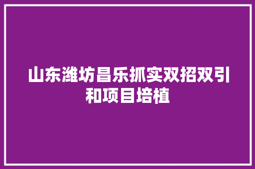 山东潍坊昌乐抓实双招双引和项目培植