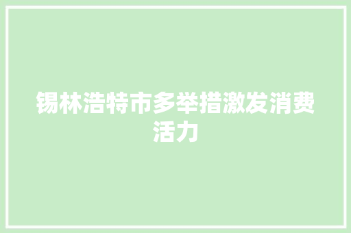 锡林浩特市多举措激发消费活力