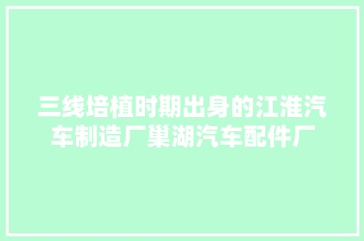 三线培植时期出身的江淮汽车制造厂巢湖汽车配件厂