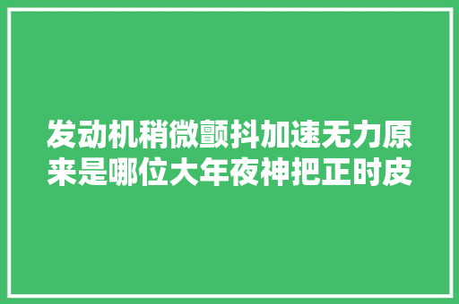 发动机稍微颤抖加速无力原来是哪位大年夜神把正时皮带挂错了三齿