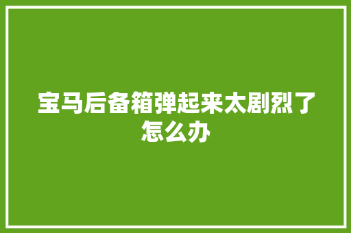 宝马后备箱弹起来太剧烈了怎么办