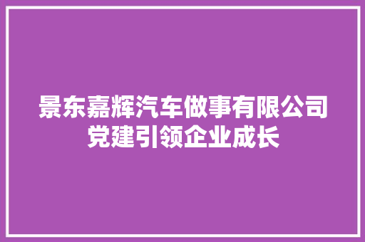 景东嘉辉汽车做事有限公司党建引领企业成长