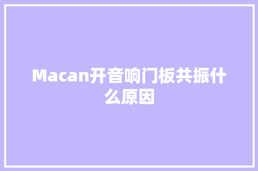Macan开音响门板共振什么原因