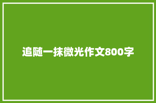 追随一抹微光作文800字