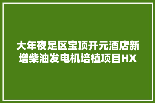 大年夜足区宝顶开元酒店新增柴油发电机培植项目HX18006更正通知书记