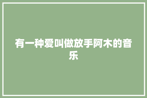 有一种爱叫做放手阿木的音乐