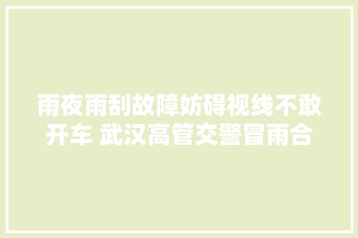雨夜雨刮故障妨碍视线不敢开车 武汉高管交警冒雨合作清除险情
