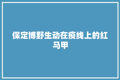 保定博野生动在疫线上的红马甲