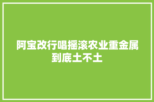 阿宝改行唱摇滚农业重金属到底土不土