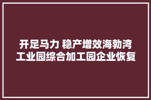 开足马力 稳产增效海勃湾工业园综合加工园企业恢复生产侧记