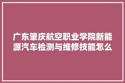 广东肇庆航空职业学院新能源汽车检测与维修技能怎么样