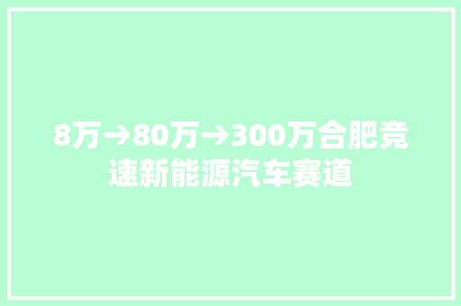 8万→80万→300万合肥竞速新能源汽车赛道