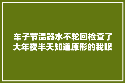车子节温器水不轮回检查了大年夜半天知道原形的我眼泪掉落下来