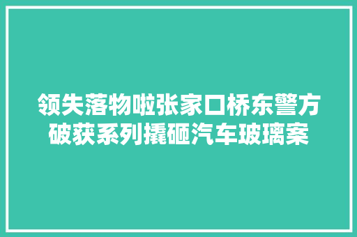 领失落物啦张家口桥东警方破获系列撬砸汽车玻璃案