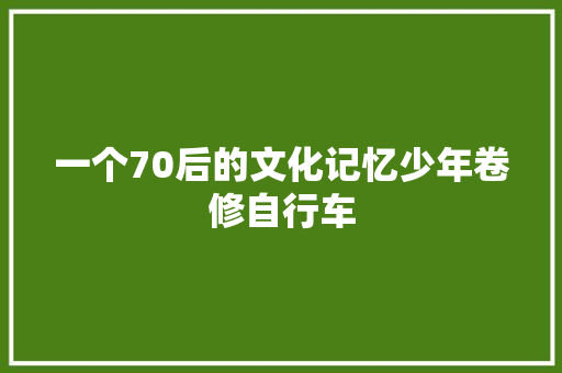 一个70后的文化记忆少年卷修自行车