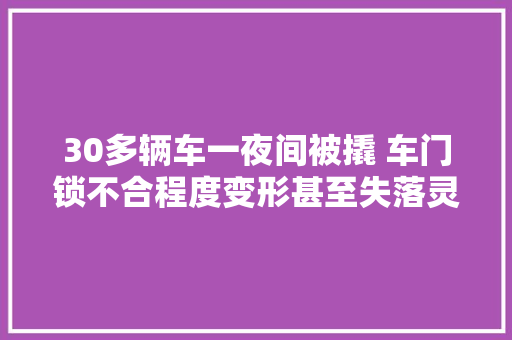 30多辆车一夜间被撬 车门锁不合程度变形甚至失落灵