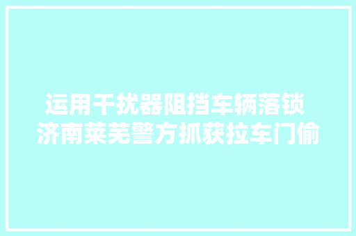 运用干扰器阻挡车辆落锁 济南莱芜警方抓获拉车门偷窃嫌疑人