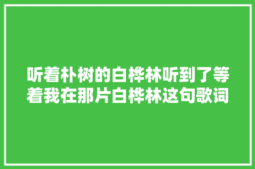 听着朴树的白桦林听到了等着我在那片白桦林这句歌词
