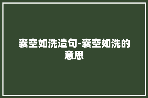 囊空如洗造句-囊空如洗的意思