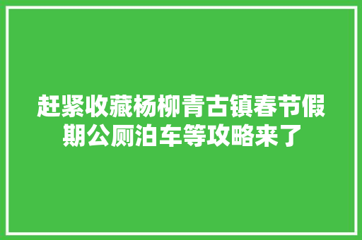 赶紧收藏杨柳青古镇春节假期公厕泊车等攻略来了