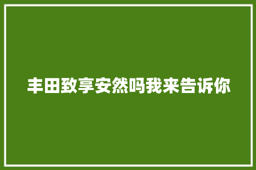 丰田致享安然吗我来告诉你