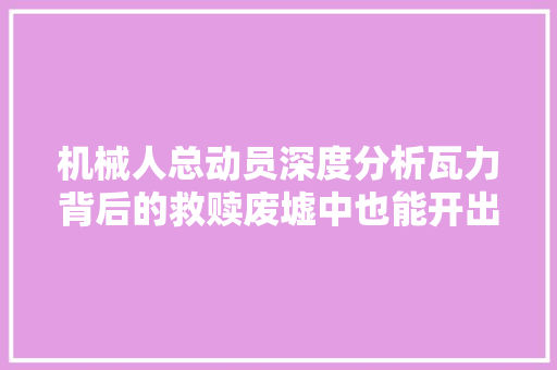 机械人总动员深度分析瓦力背后的救赎废墟中也能开出花 汽车知识
