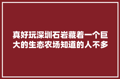 真好玩深圳石岩藏着一个巨大的生态农场知道的人不多还免费