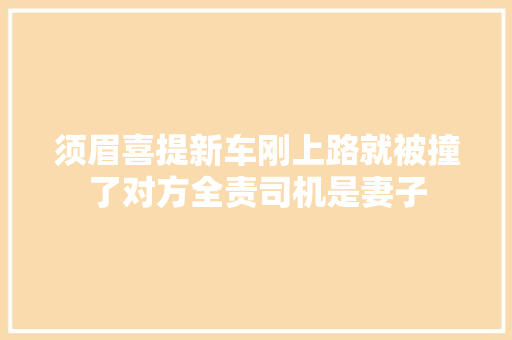 须眉喜提新车刚上路就被撞了对方全责司机是妻子