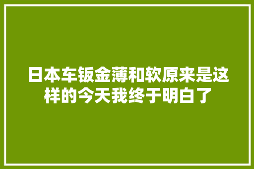 日本车钣金薄和软原来是这样的今天我终于明白了